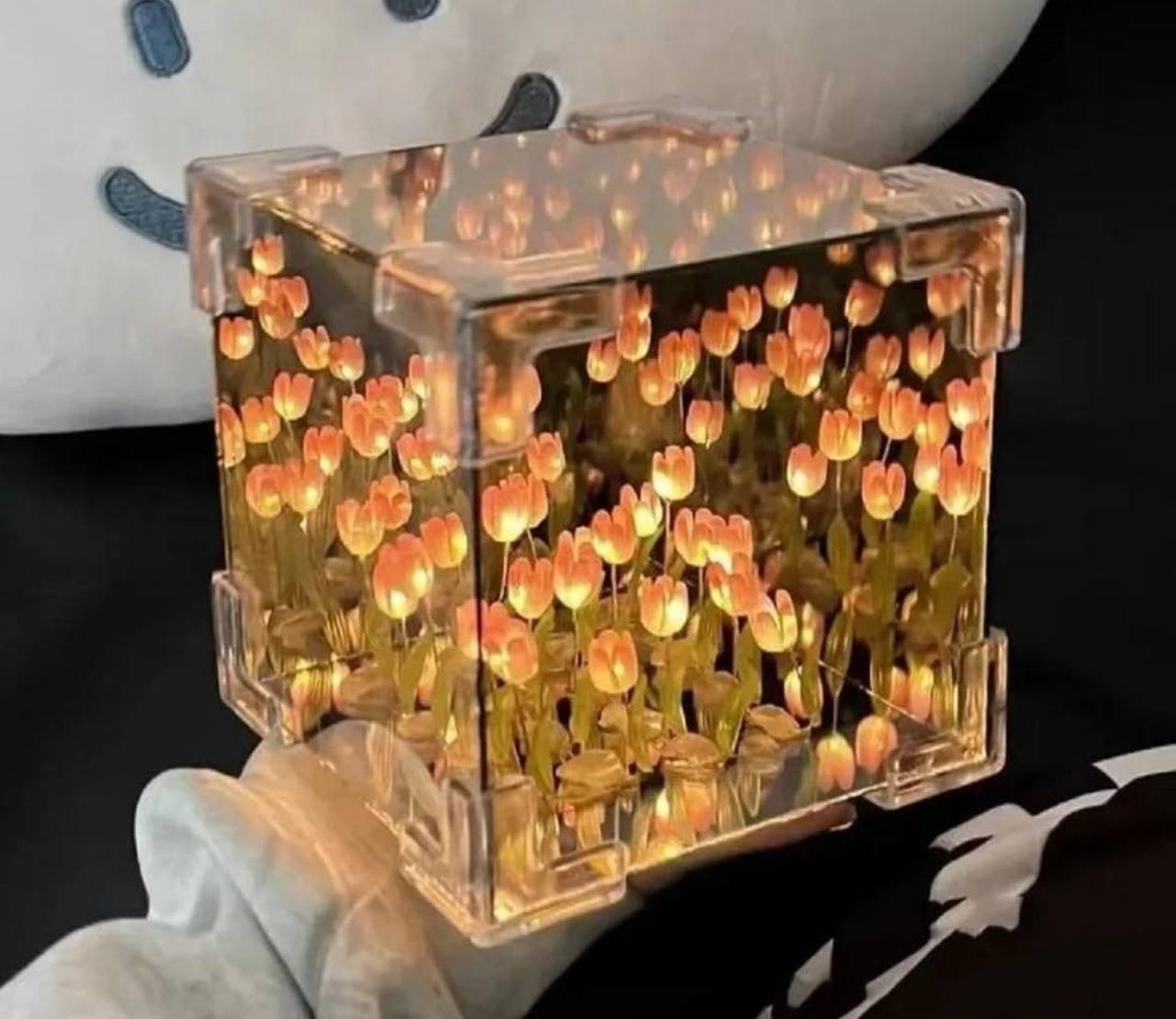 Square Tulip Lamp